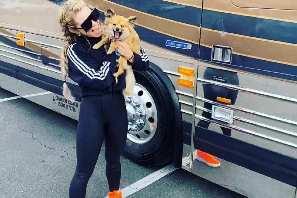5 Country Pups You Should Be Following on Instagram