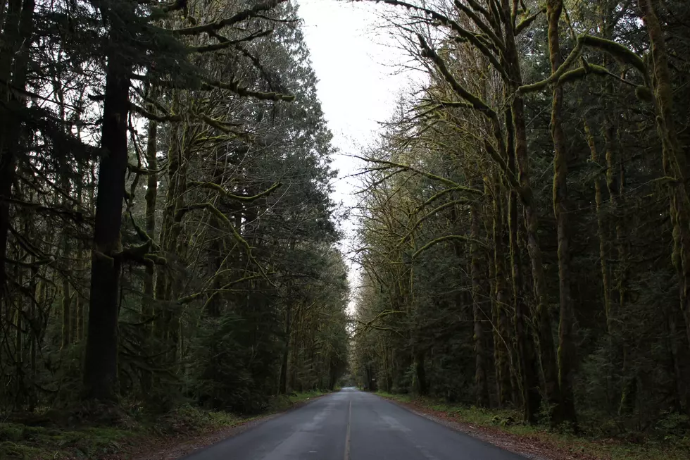 Minnesota’s Most Haunted Road Get’s Spooky After Dark