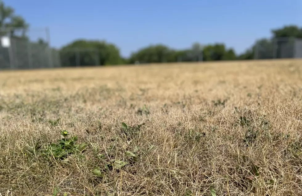 Drought Continues to Get Worse, Rain in the Forecast