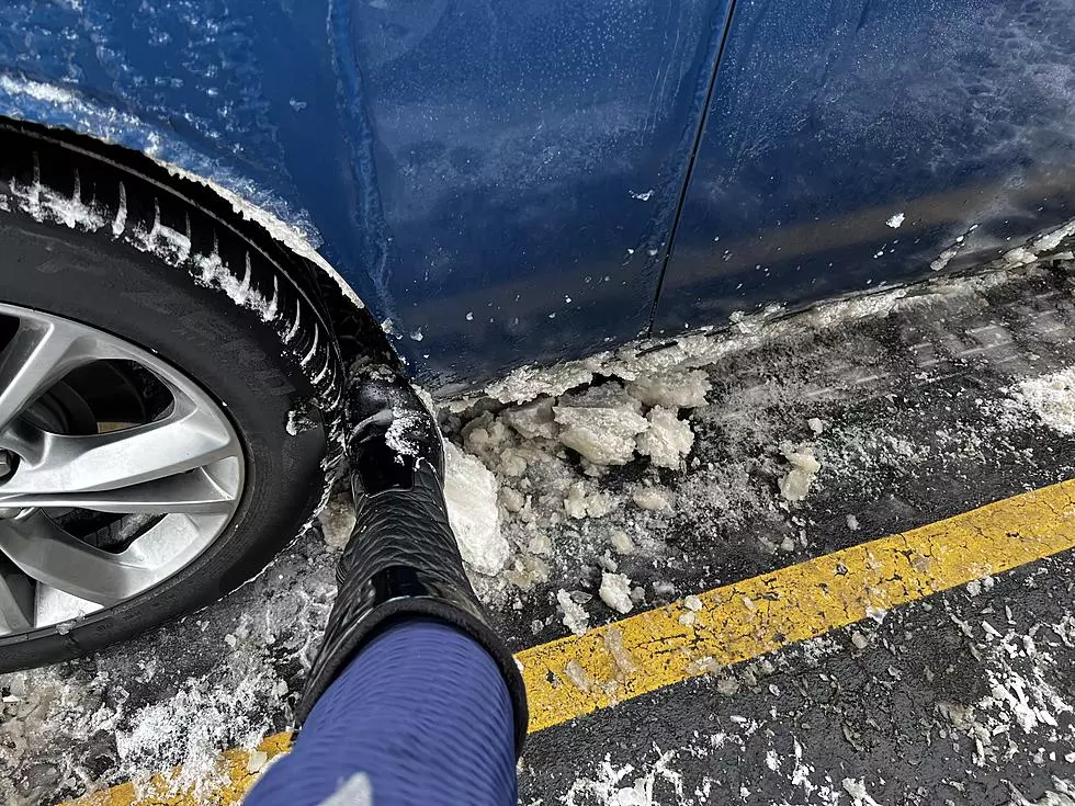 Would You Give a Swift Kick If You Saw This Horror in Minnesota?