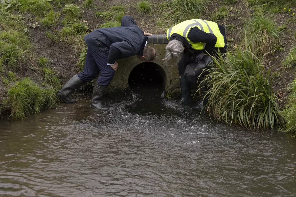 Volunteer Water Monitors Needed To Track Water Quality In Owatonna Area