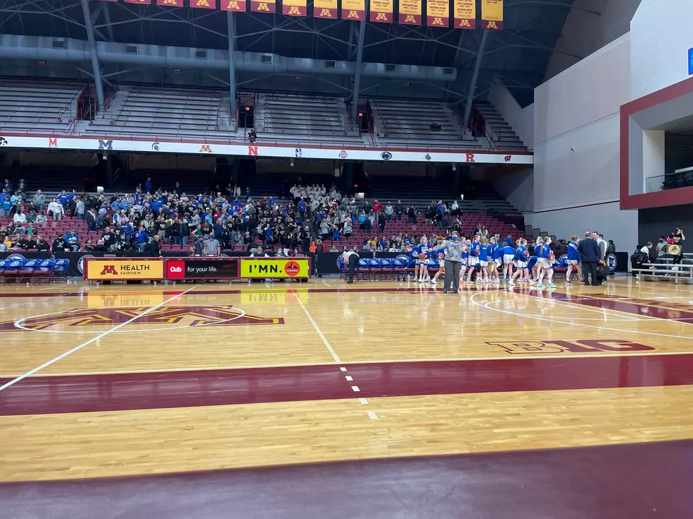 Hayfield Girls Advance to State Semifinals