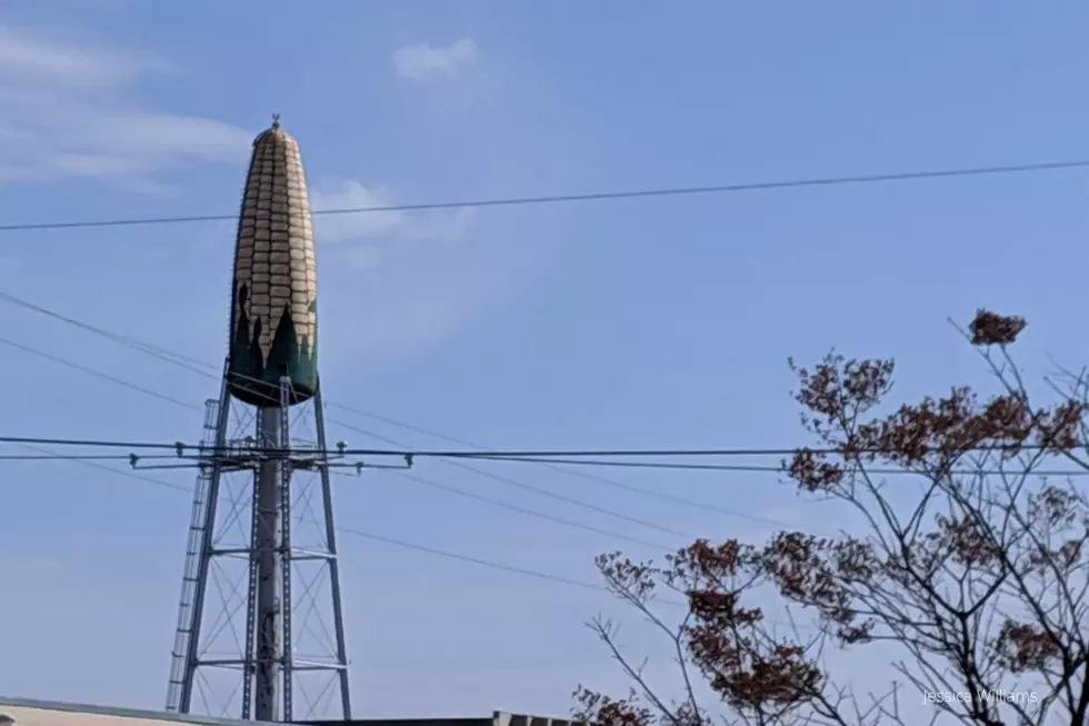 You Know You’re From Rochester If You Recognize These 12 Things