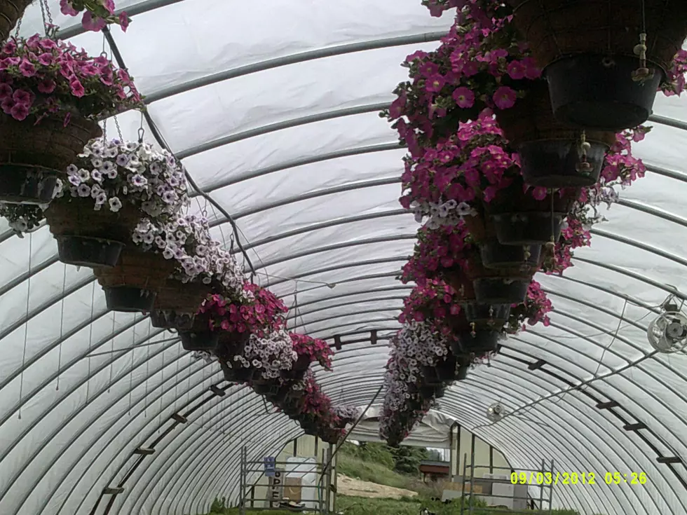 Help Beautify Owatonna