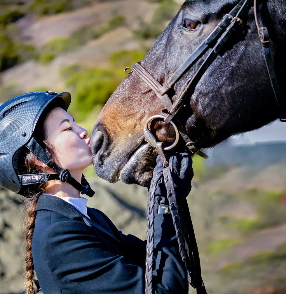 Have A Buckin’ Good Time At Le Sueur County’s Annual Ranch Rodeo and Trail Ride
