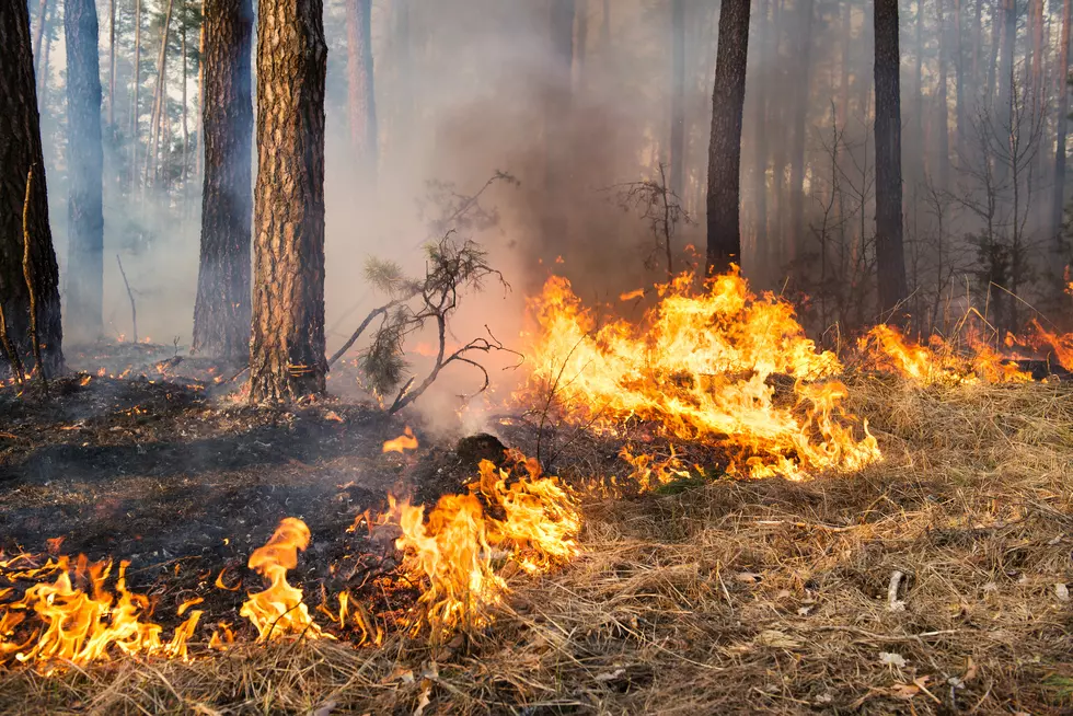Red Flag Fire Weather Warning for Parts of Southern Minnesota Today