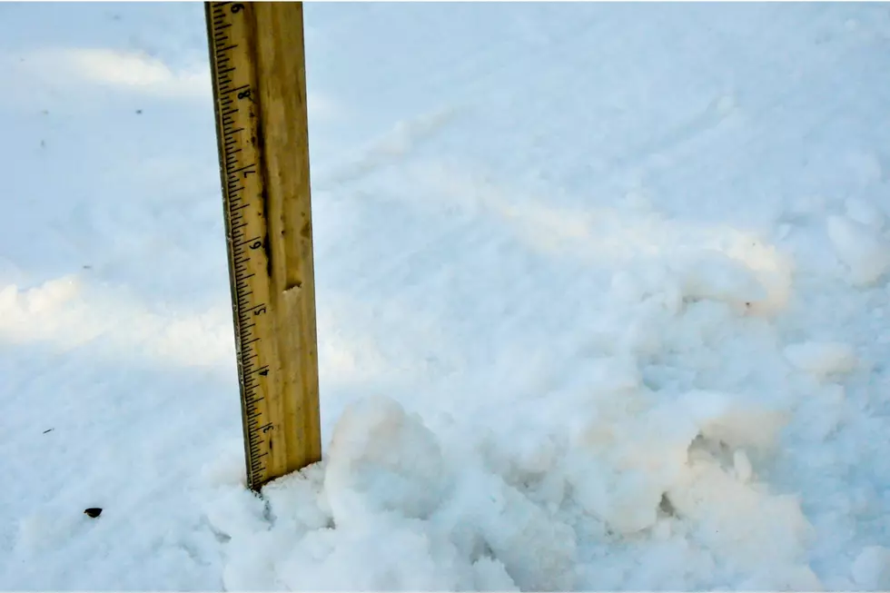 Latest Minnesota Snowfall Totals from Weekend Storm